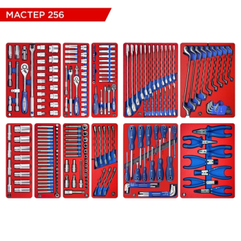 Набор инструментов "МАСТЕР 256" для тележки, 11 ложементов, 256 предметов, МАСТАК 5-00256