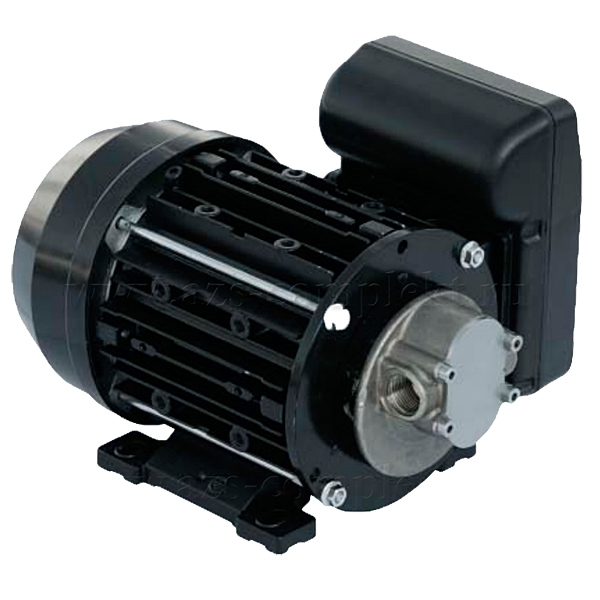 Насос для масла, дизтоплива и некоррозийных жидкостей, 220 Вольт, Piusi GARDA 5 220V Насос для масла, дизтоплива и некоррозийных жидкостей, 220 Вольт, Piusi GARDA 5 220V
