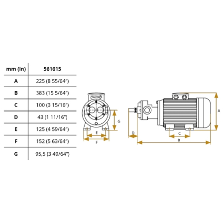 Электрический масляный насос, 230 В, 25 л/мин, SAMOA 561615