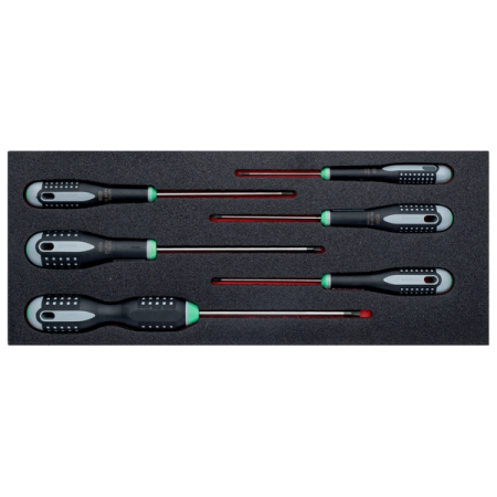Набор отверток TORX T10-T40, ложемент, 6 предметов, BAHCO FF1E1007