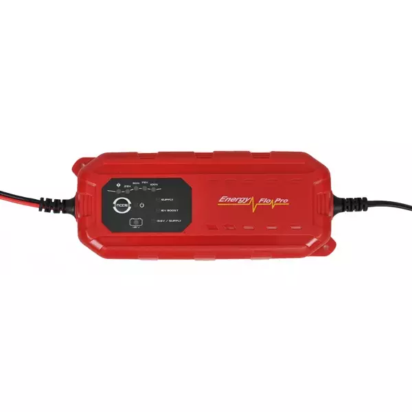 Устройство постоянного заряда Lemania Energy LEM 122470 (red) Устройство постоянного заряда Lemania Energy LEM 122470 (red)