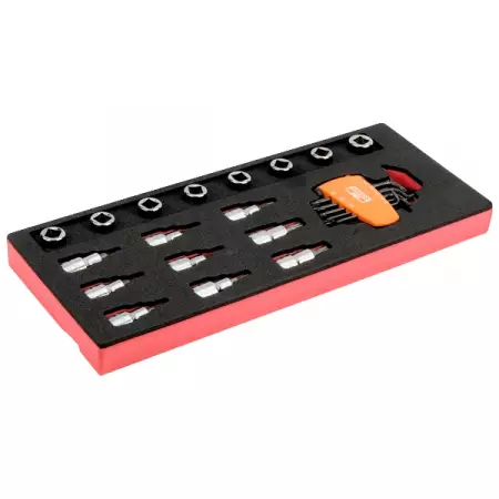 Набор торцевых головок TORX-E и насадок TORX 1/2", Г-образных ключей TORX, ложемент, 25 предметов, BAHCO FF1E2207